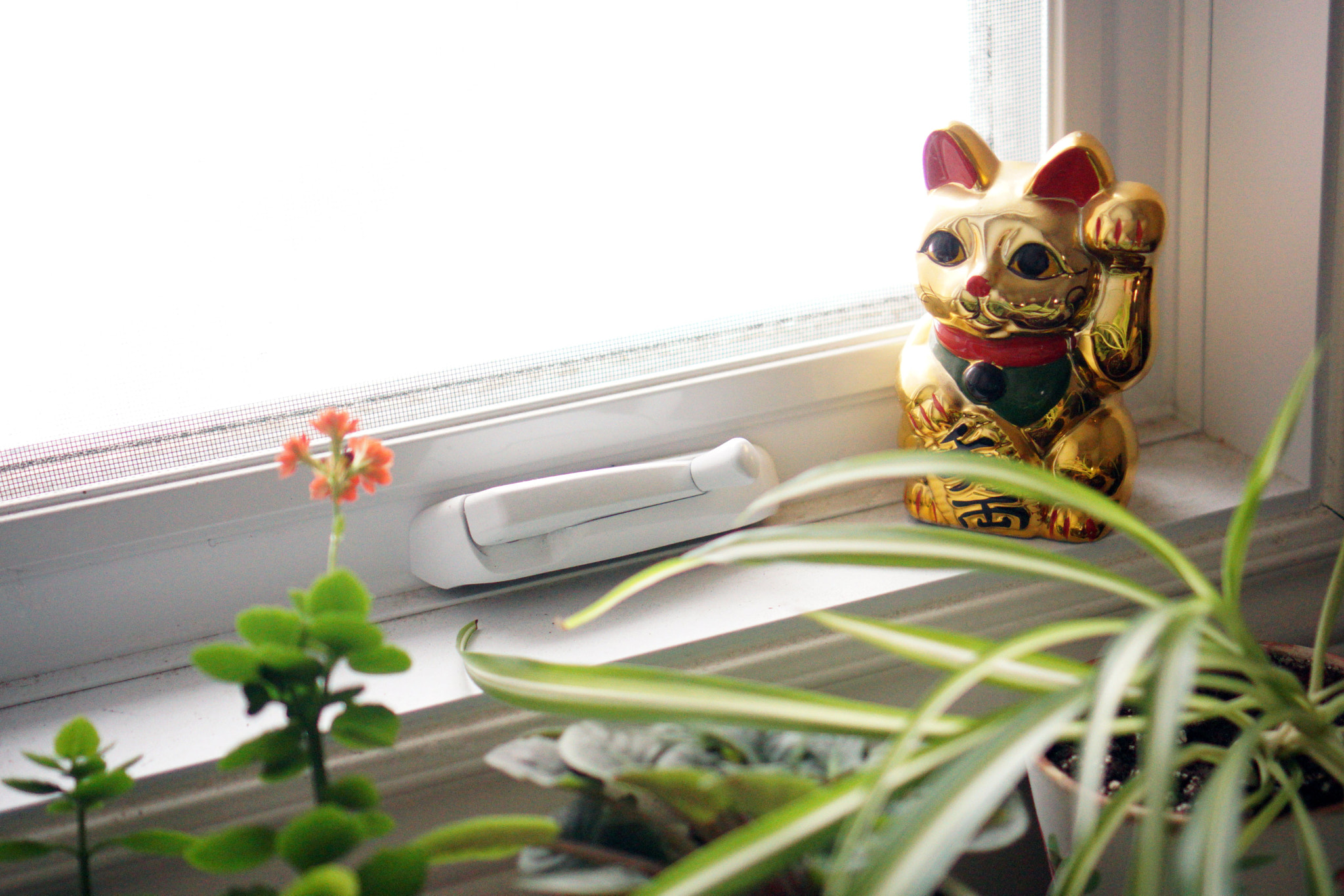 Sony a6000 + Sony E 35mm F1.8 OSS sample photo. Maneki-neko photography
