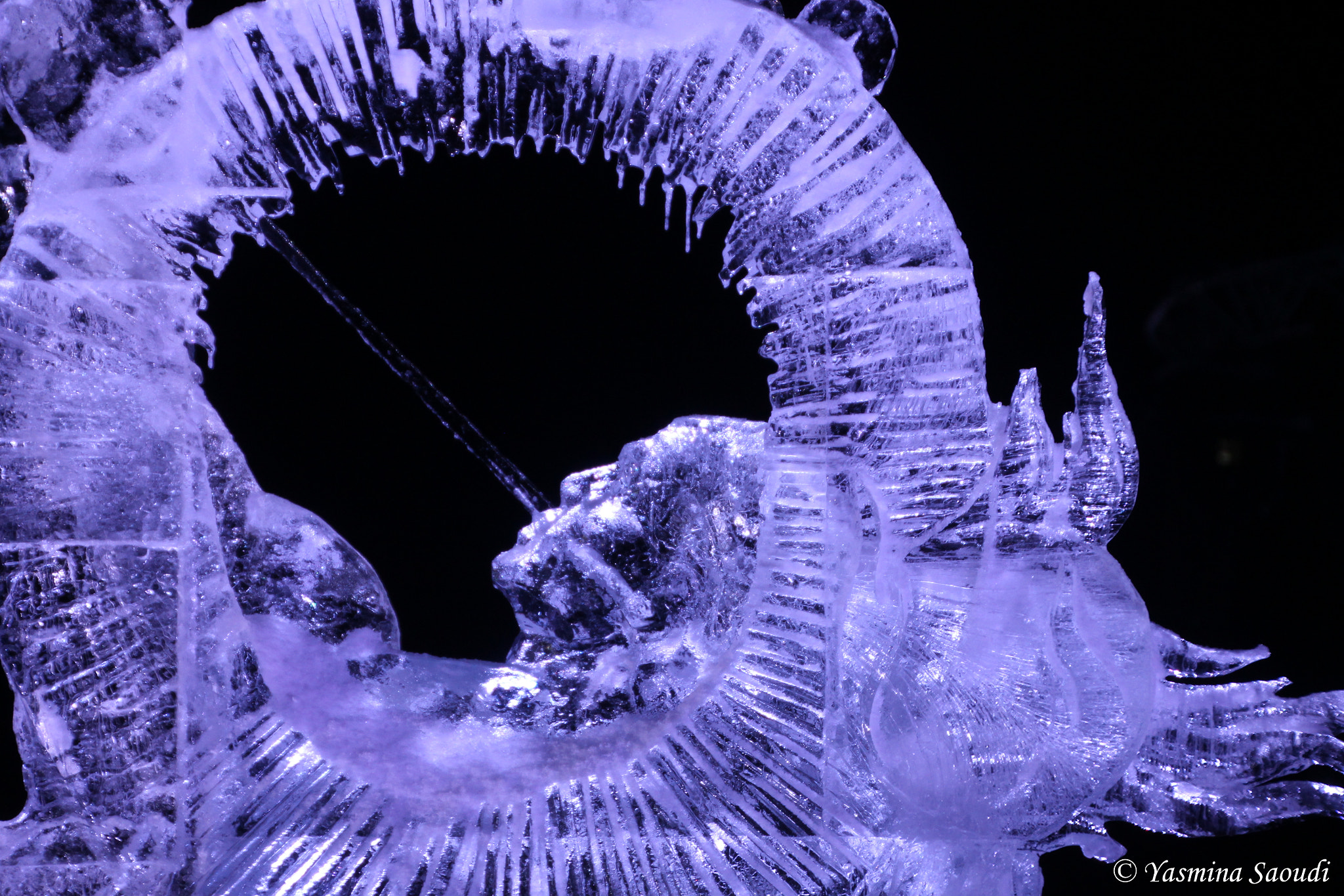 Canon EOS 600D (Rebel EOS T3i / EOS Kiss X5) sample photo. Ice scupltures photography