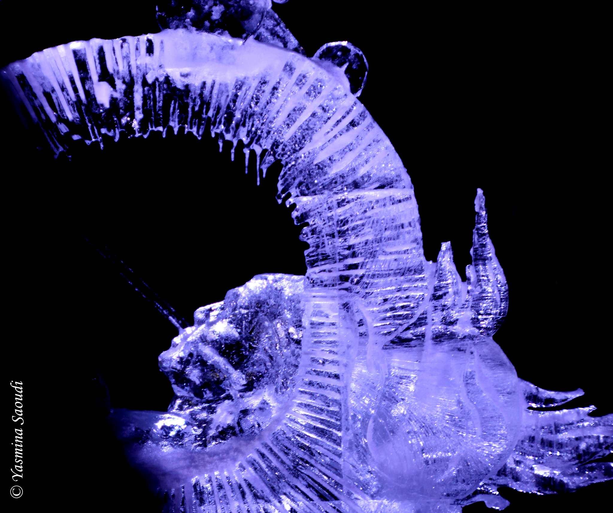 Canon EOS 600D (Rebel EOS T3i / EOS Kiss X5) sample photo. Ice scupltures photography