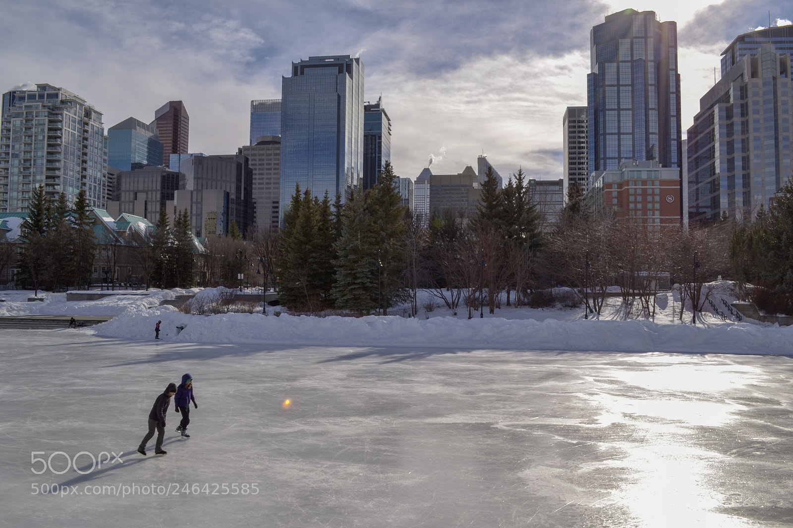 Nikon D3100 sample photo. Skating photography