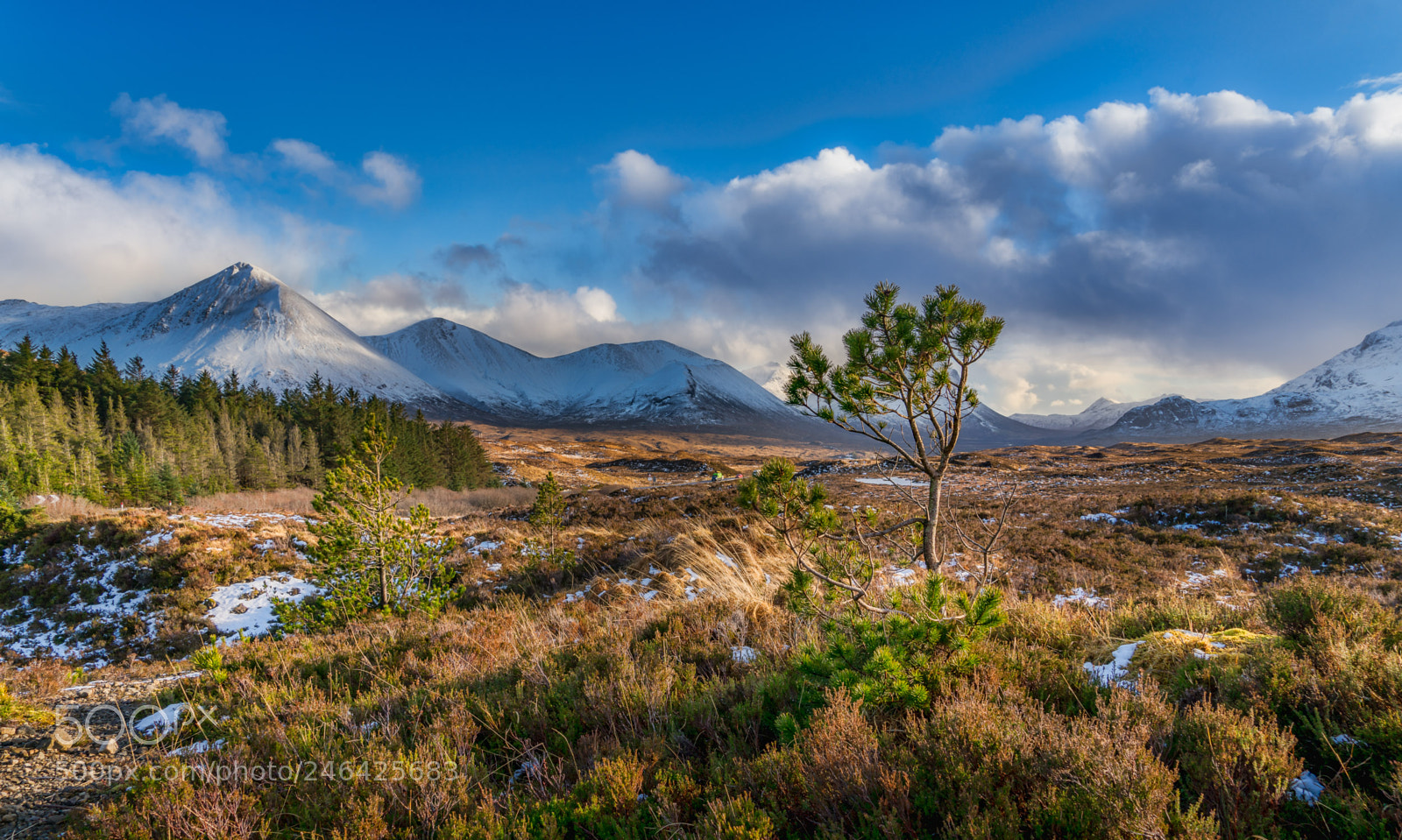 Sony a7R II sample photo. Winter cuillin mountains photography
