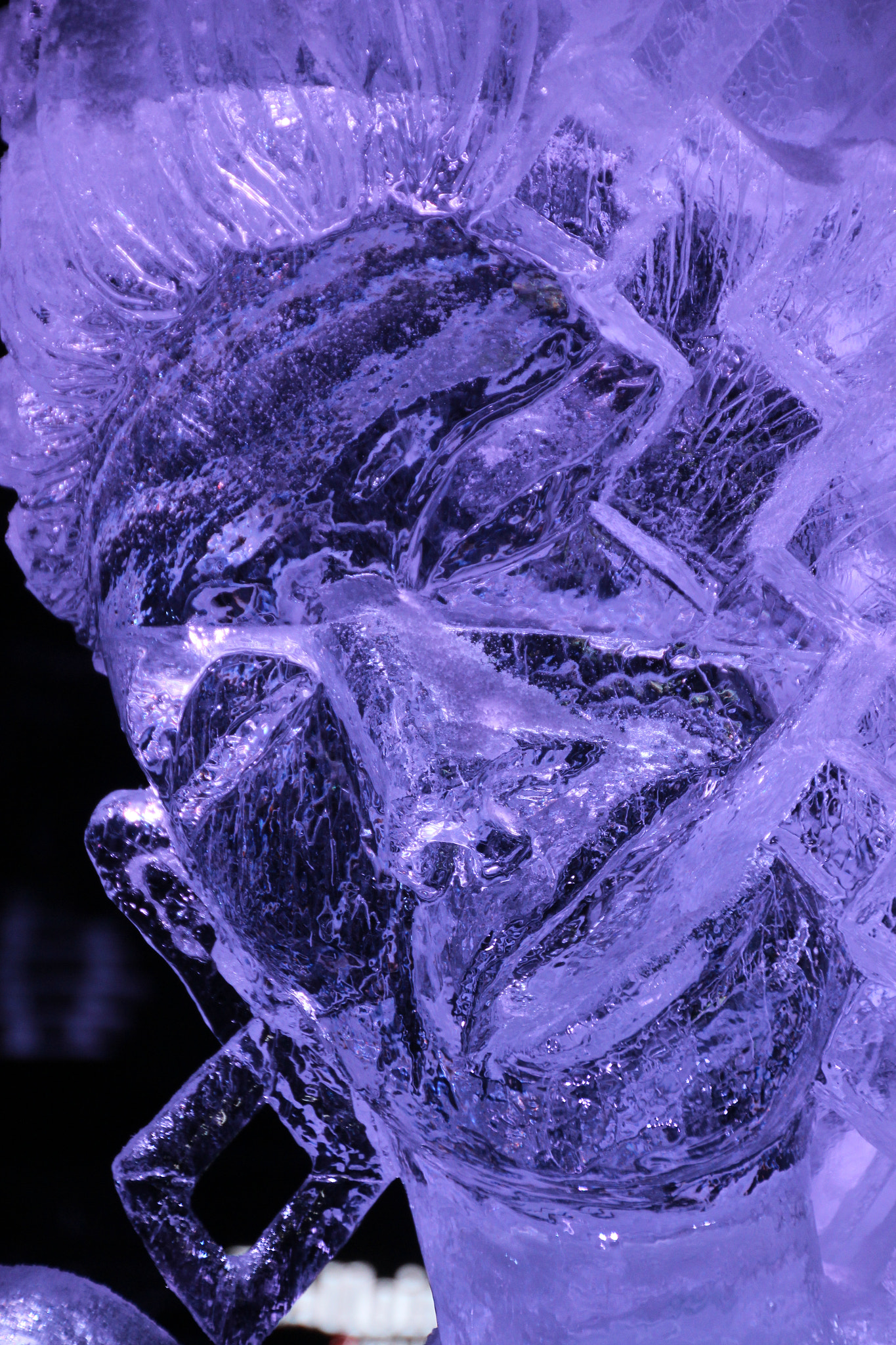 Canon EOS 600D (Rebel EOS T3i / EOS Kiss X5) sample photo. Ice scupltures photography