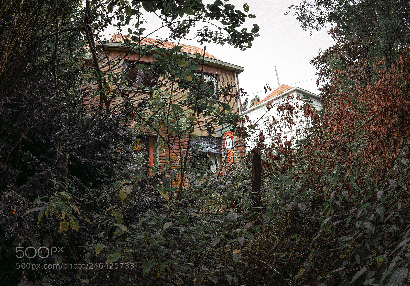 Nikon D7200 sample photo. Feel like home... photography