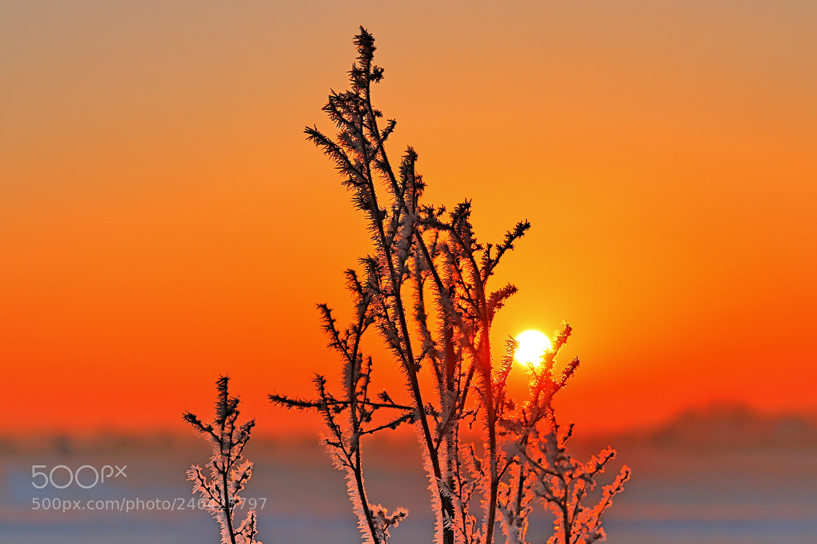 Canon EOS 700D (EOS Rebel T5i / EOS Kiss X7i) sample photo. Sunrise photography