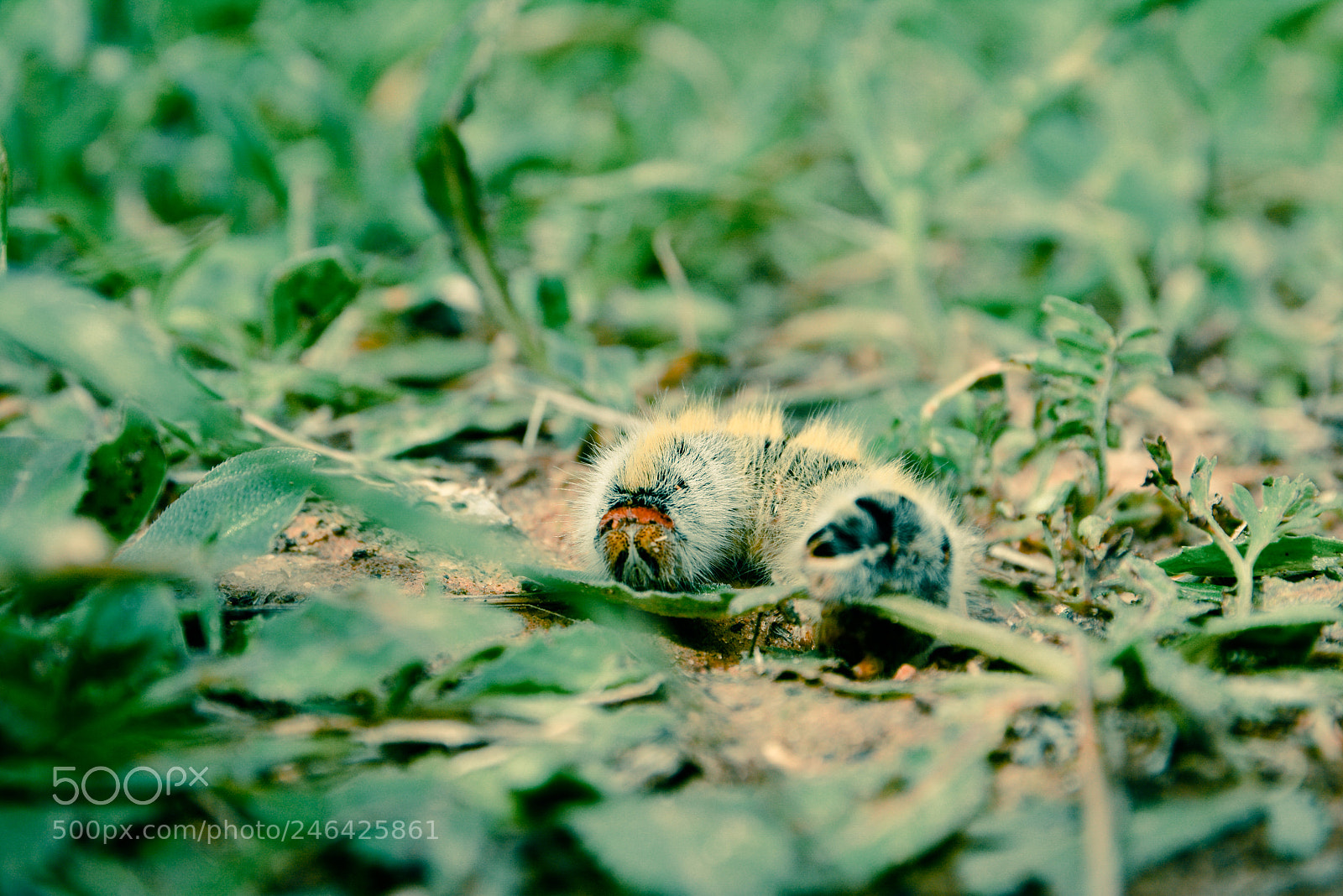 Nikon D7100 sample photo. Edited photography