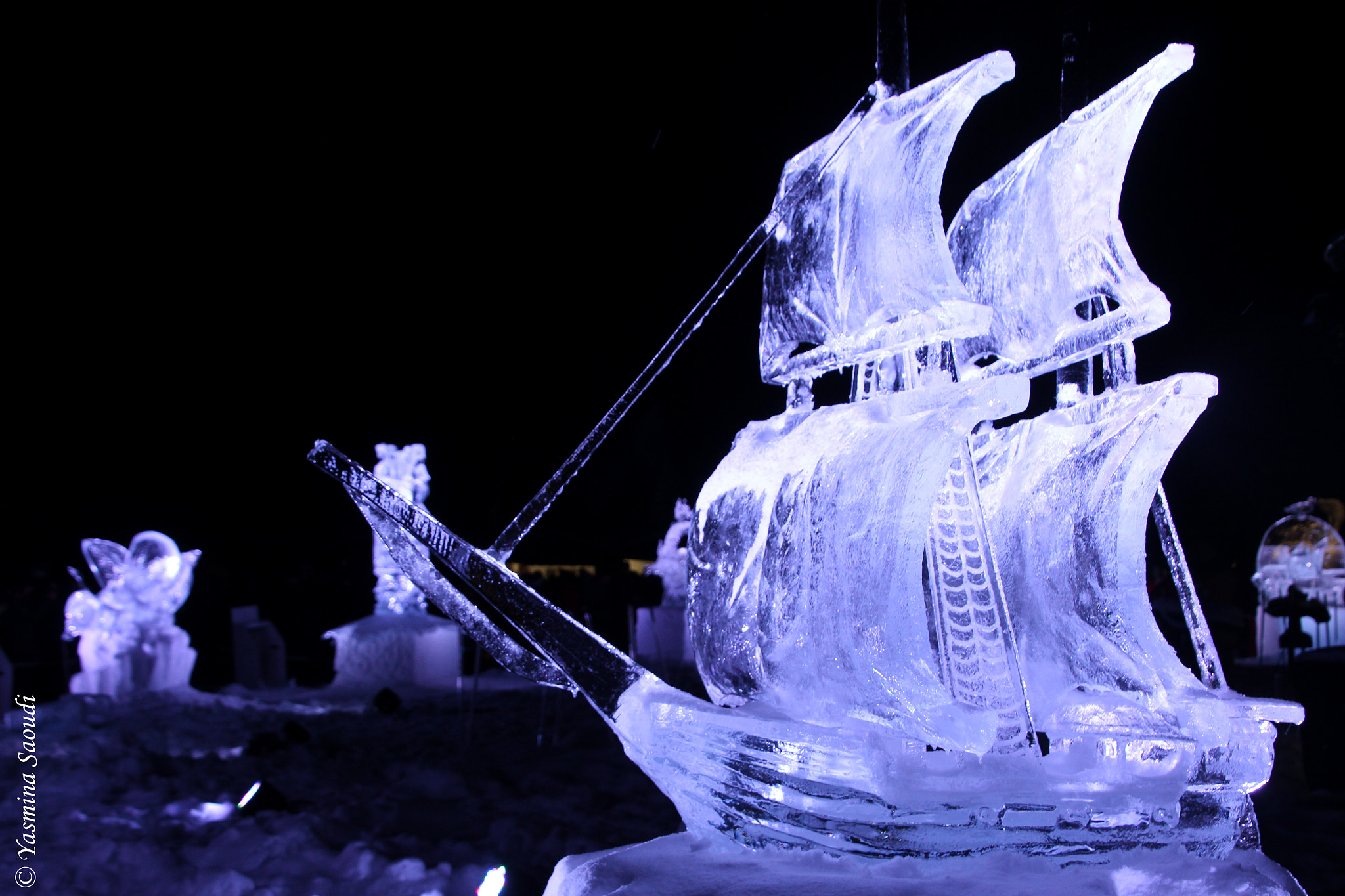 Canon EOS 600D (Rebel EOS T3i / EOS Kiss X5) sample photo. Ice scupltures photography
