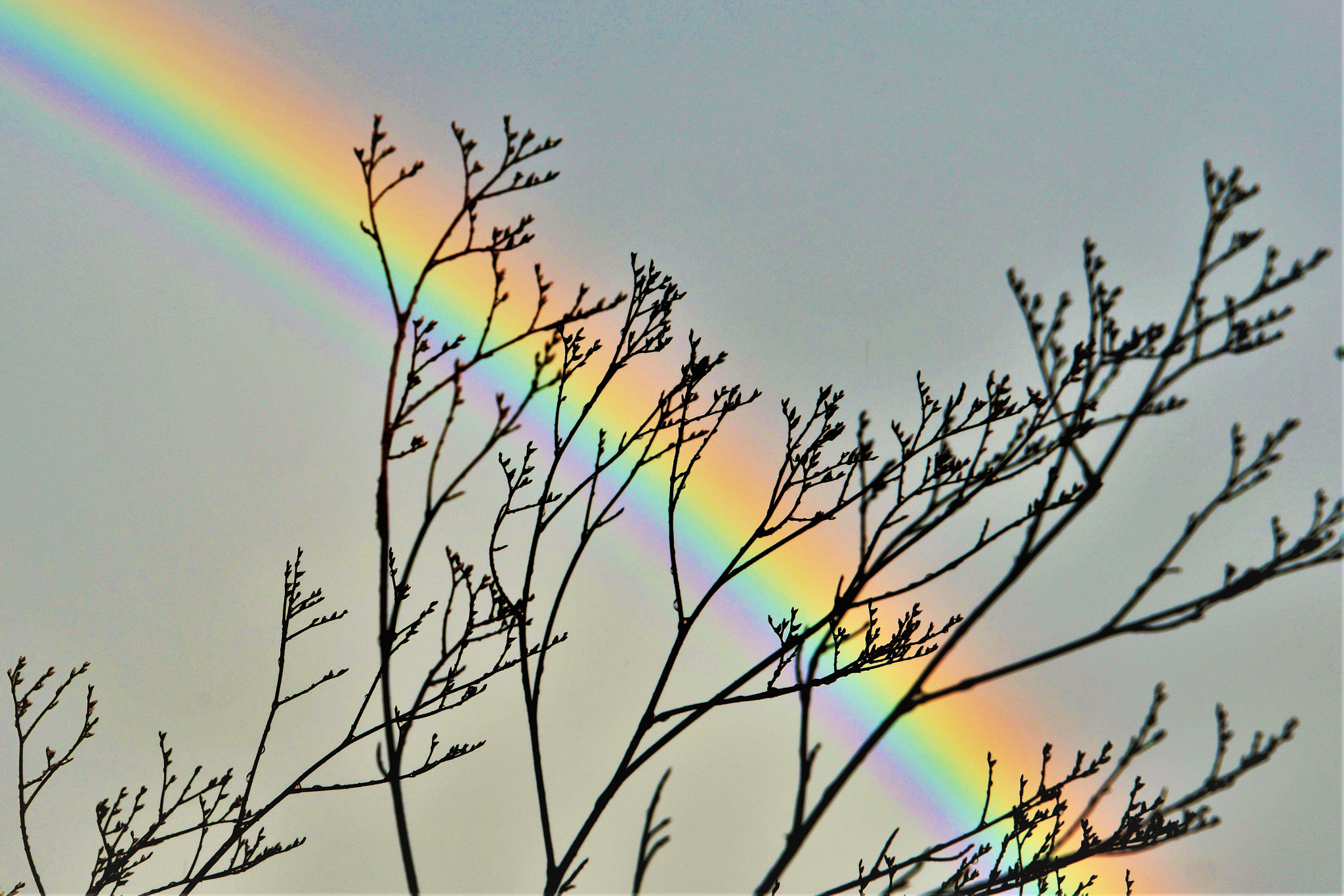 Nikon D500 + Tamron 16-300mm F3.5-6.3 Di II VC PZD Macro sample photo. ..at the end of the rainbow.. photography