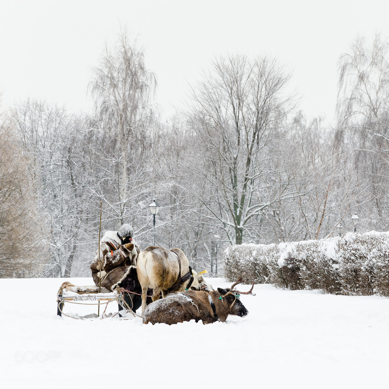 Nikon D5100 sample photo. In the frozen wastes photography
