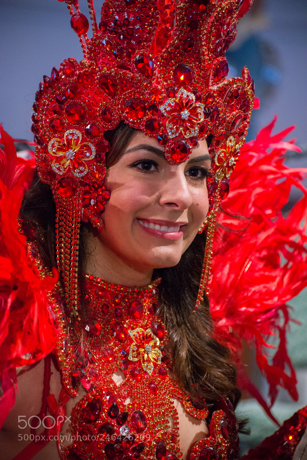 Nikon D610 sample photo. Samba smiles (ii) photography