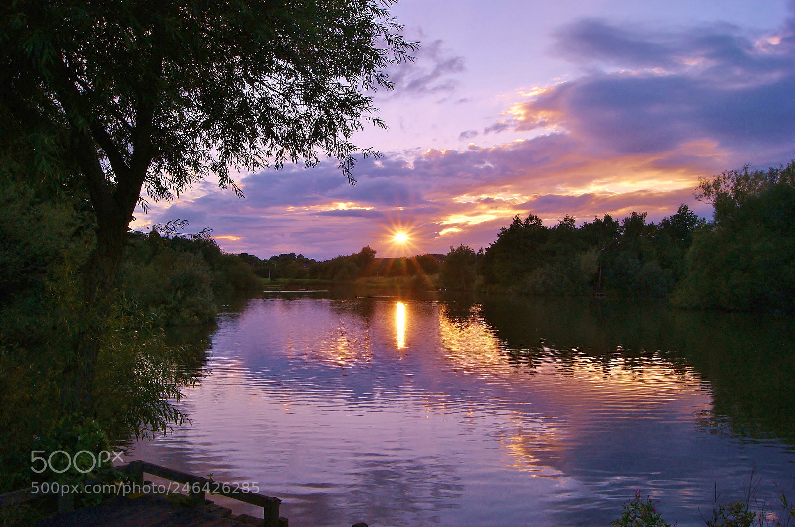 Sony Alpha DSLR-A380 sample photo. A sunset star :-) photography
