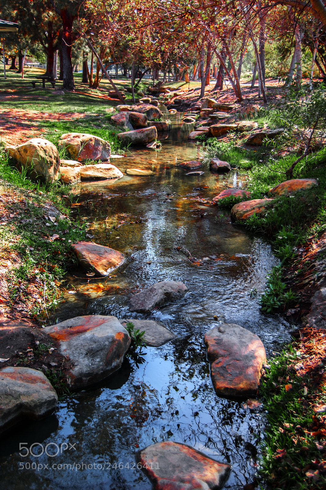 Nikon D40 sample photo. Peaceful water stream photography