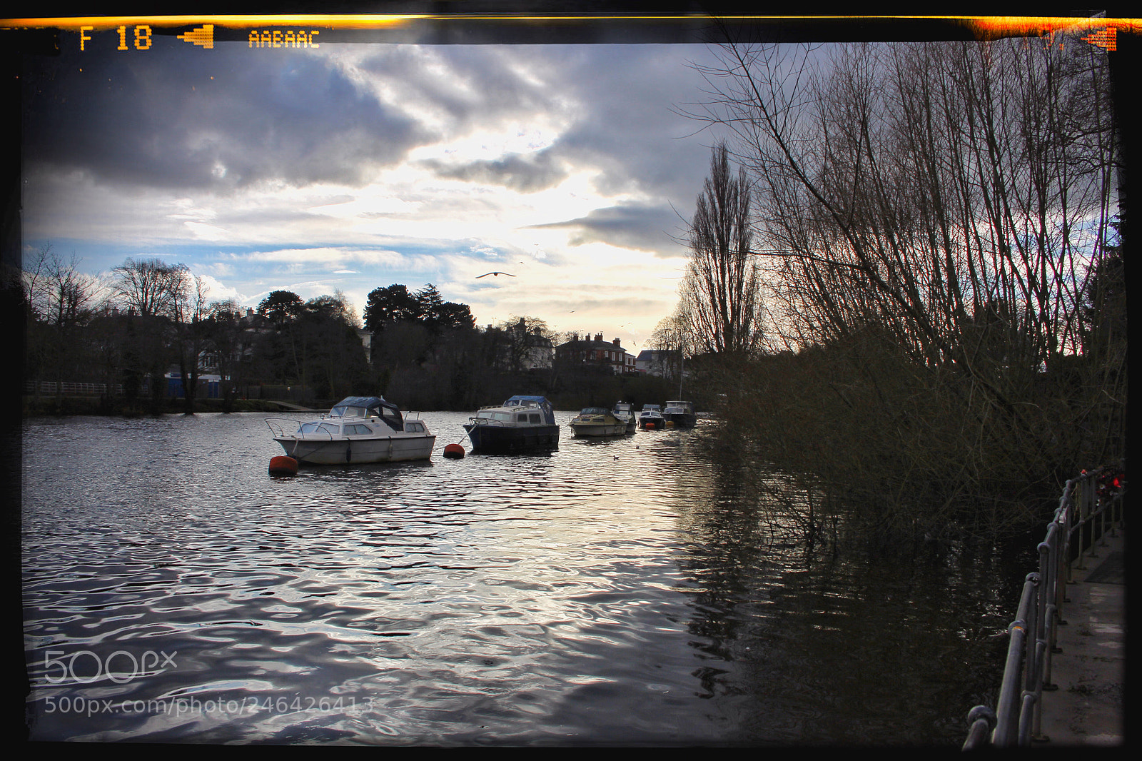 Canon EOS 700D (EOS Rebel T5i / EOS Kiss X7i) sample photo. Chester river dee photography