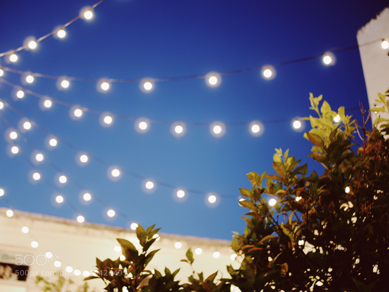 Olympus PEN E-PL5 sample photo. Lights at centro cultural photography