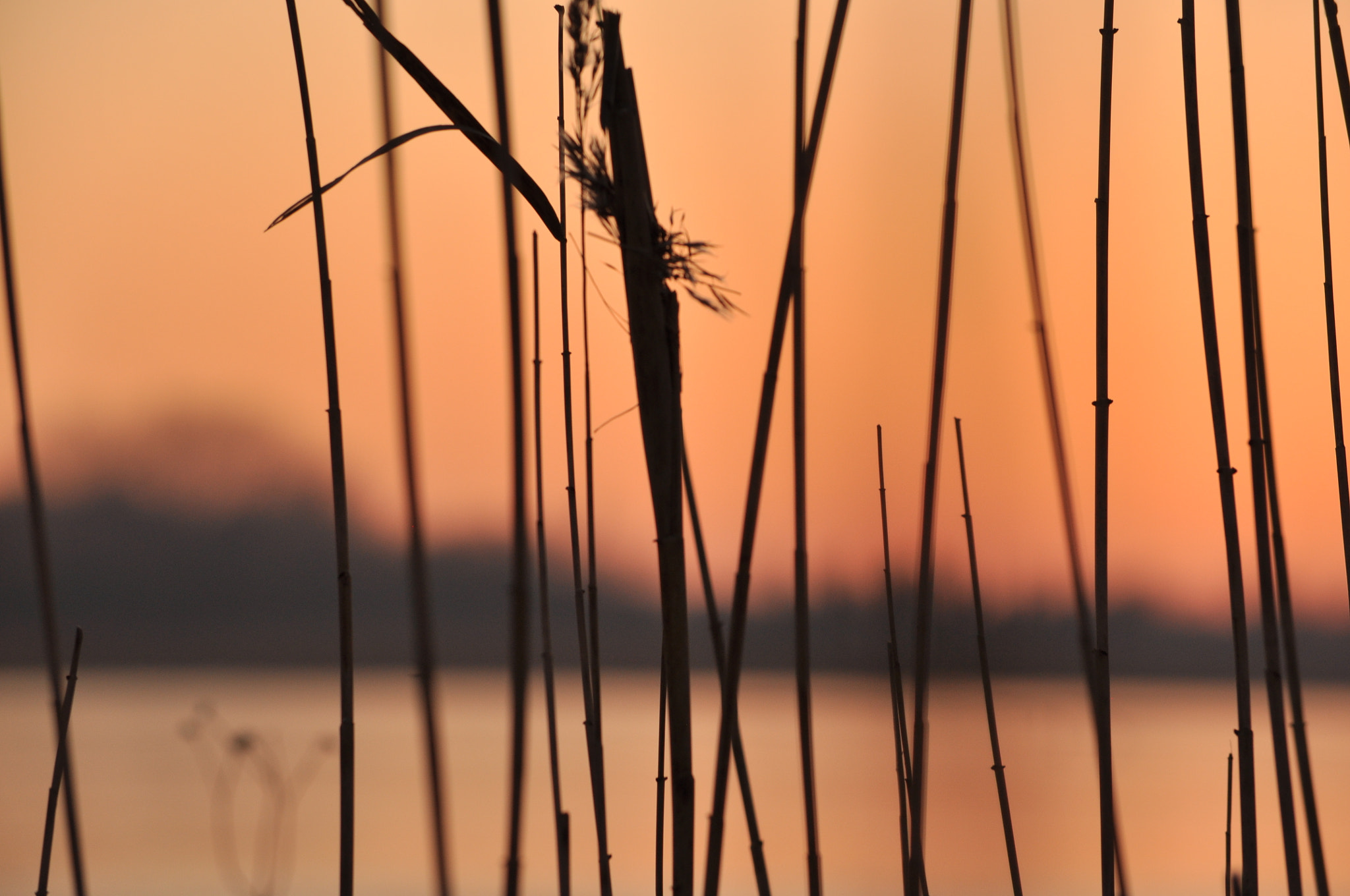 Nikon D5000 sample photo. Sundown photography