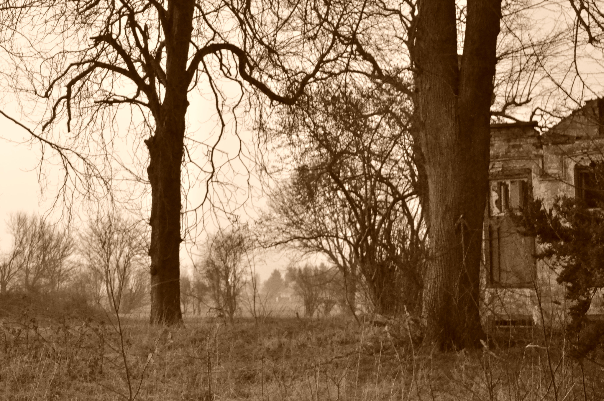 Nikon D5000 sample photo. Old photography