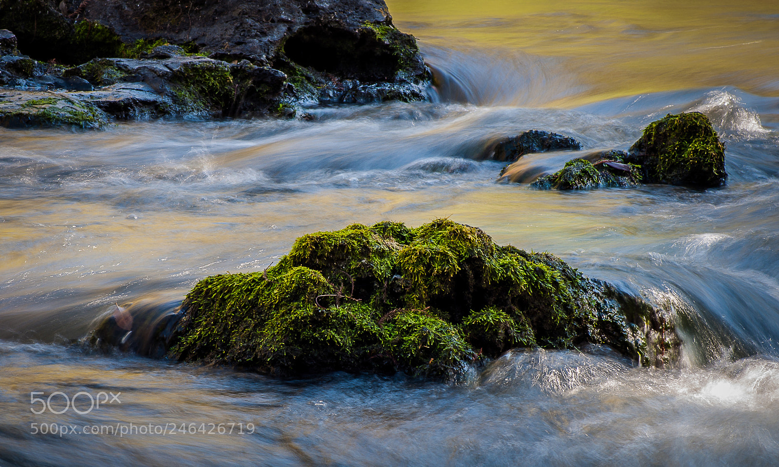 Nikon D5000 sample photo. Mossy rock in the photography