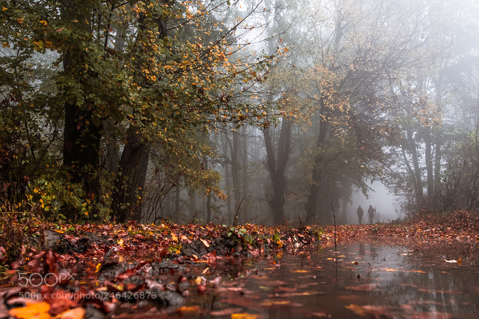 Nikon D500 sample photo. Sfarsit. photography