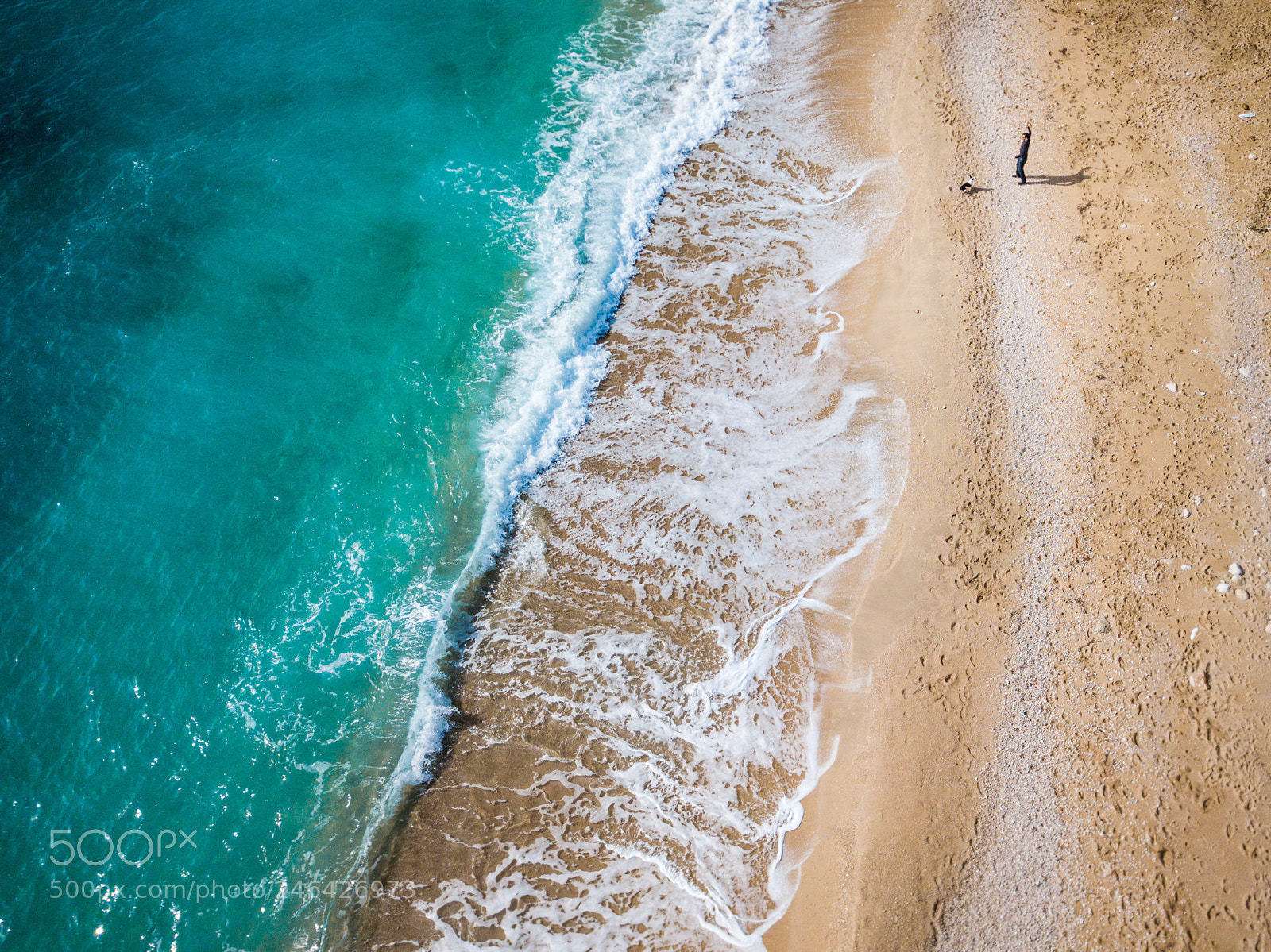 DJI FC220 sample photo. Master and dog photography
