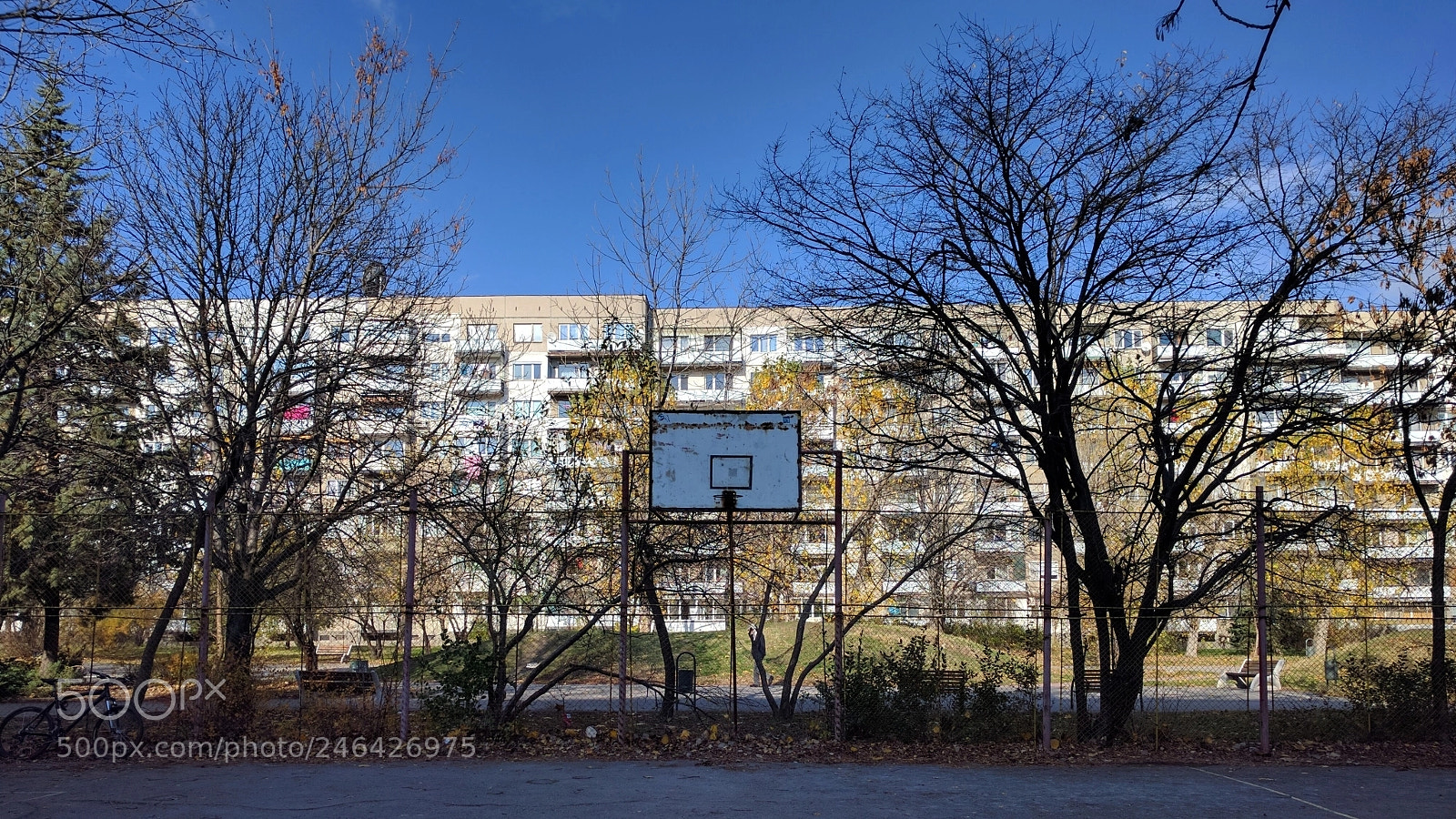 LG Nexus 5X sample photo. "hoop dreams" photography