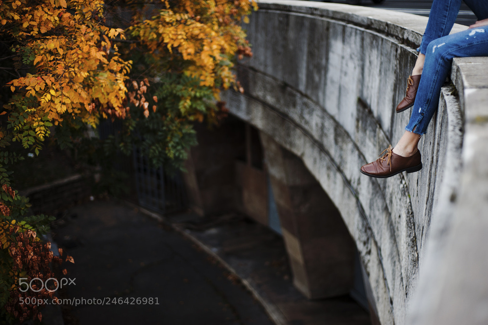 Nikon D3 sample photo. 38561444705.jpg photography