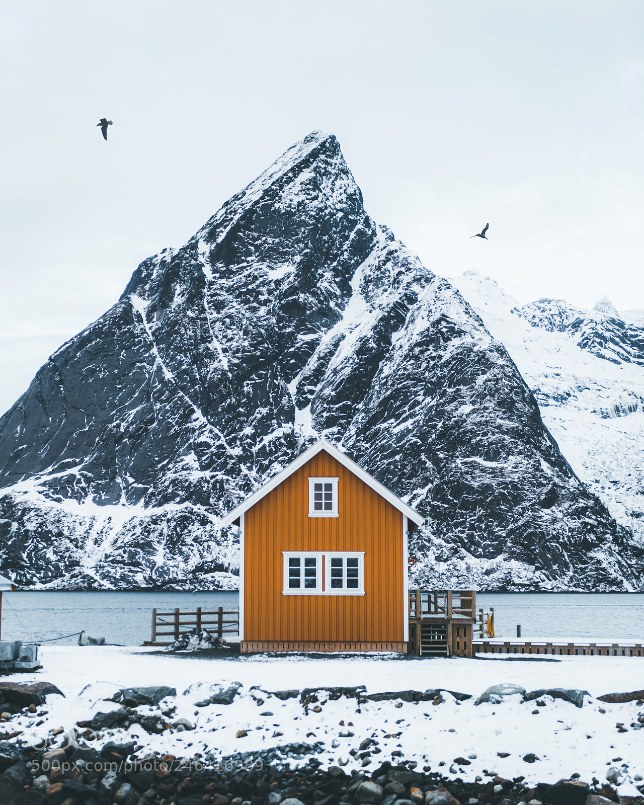 Nikon D800 sample photo. Lofoten described in one photography