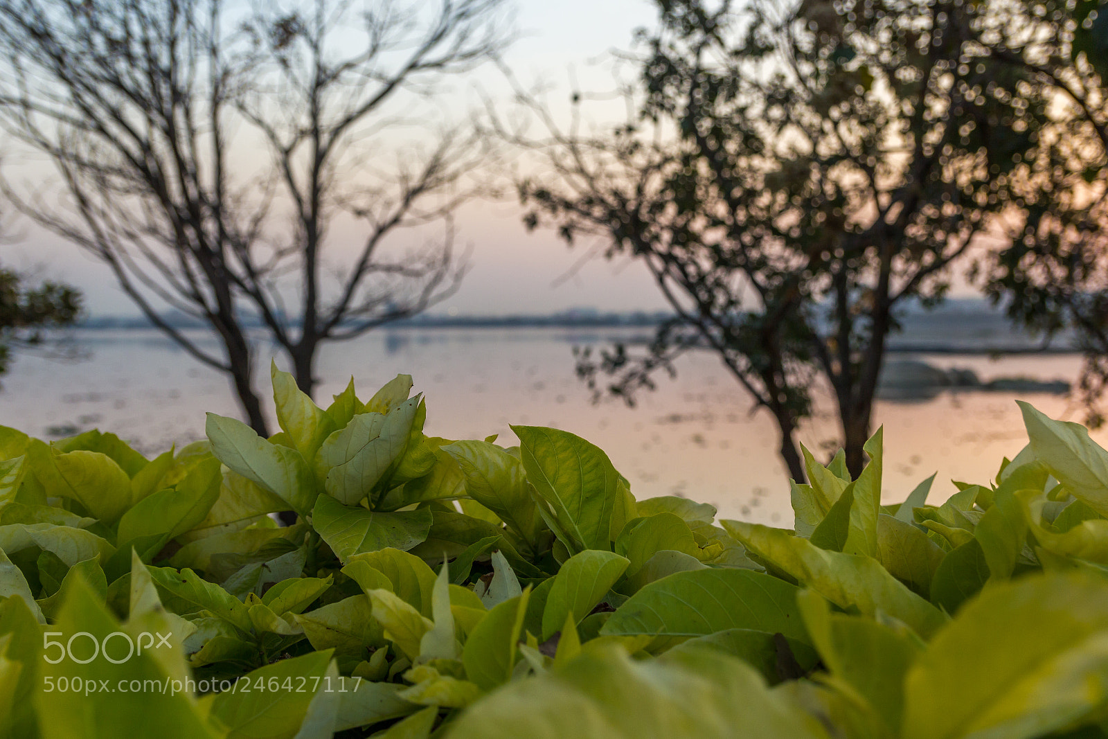 Canon EOS 550D (EOS Rebel T2i / EOS Kiss X4) sample photo. Hussain sagar photography