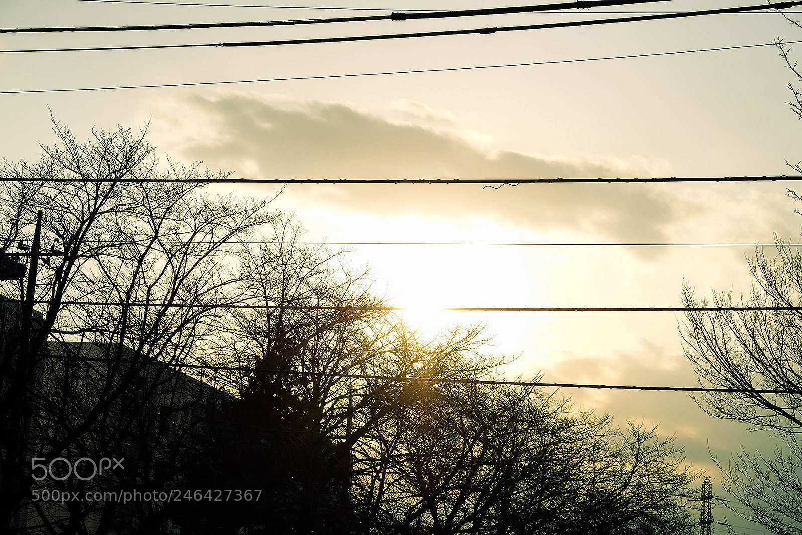 Fujifilm X-T2 sample photo. Tokyo twilight yesterday photography