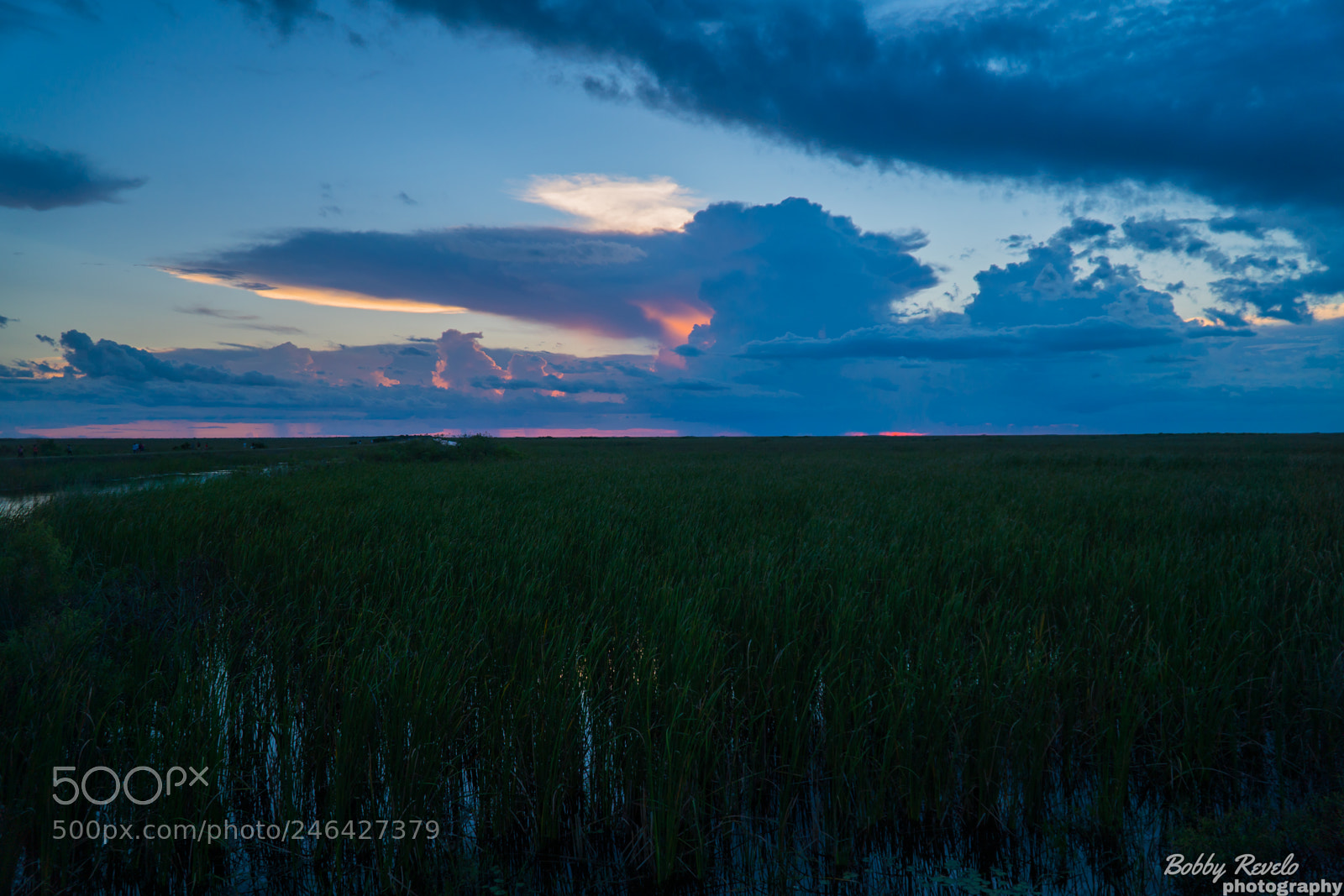 Sony a6500 sample photo. Florida everglades sunset photography