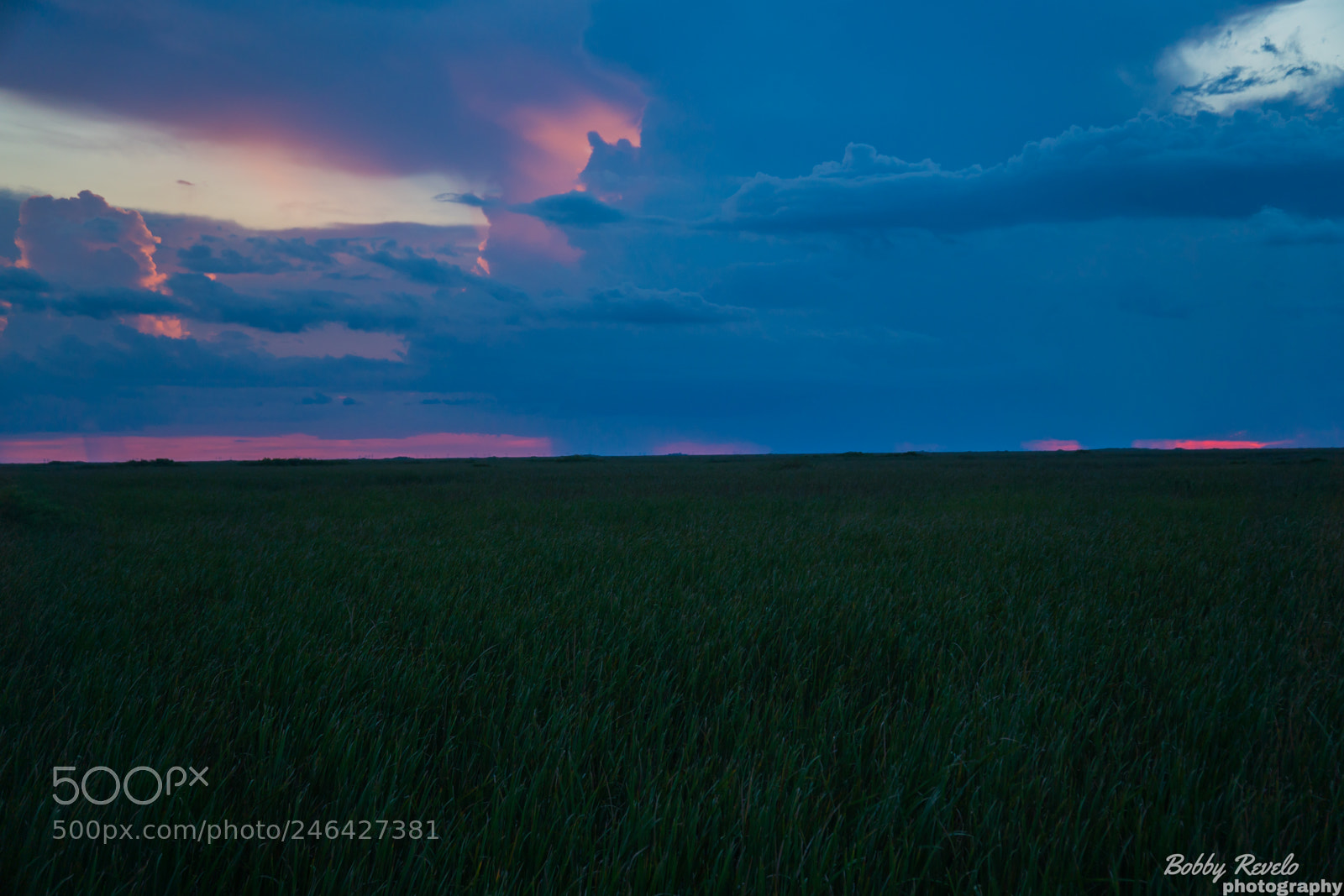 Sony a6500 sample photo. Florida everglades sunset photography