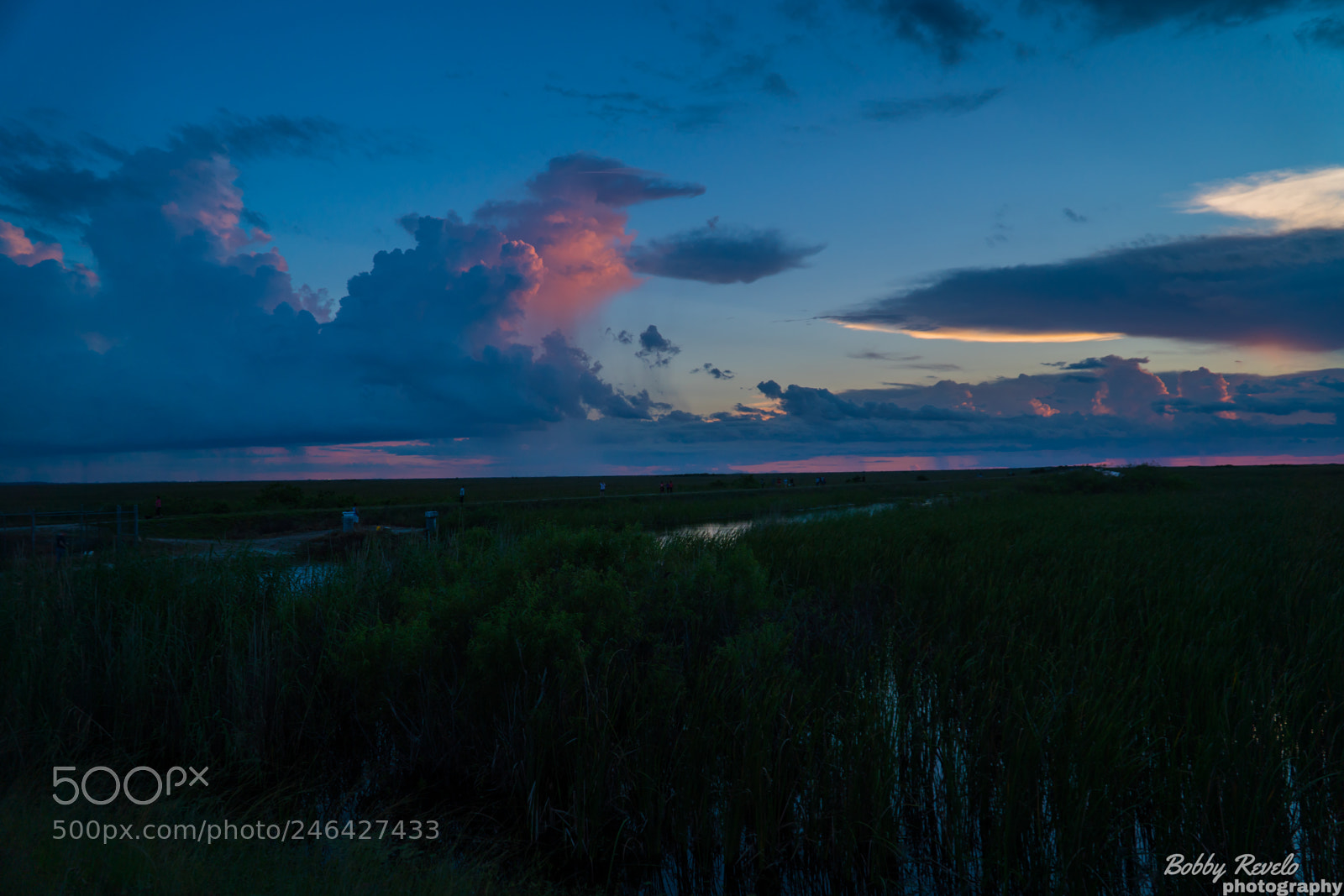 Sony a6500 sample photo. Florida everglades sunset photography