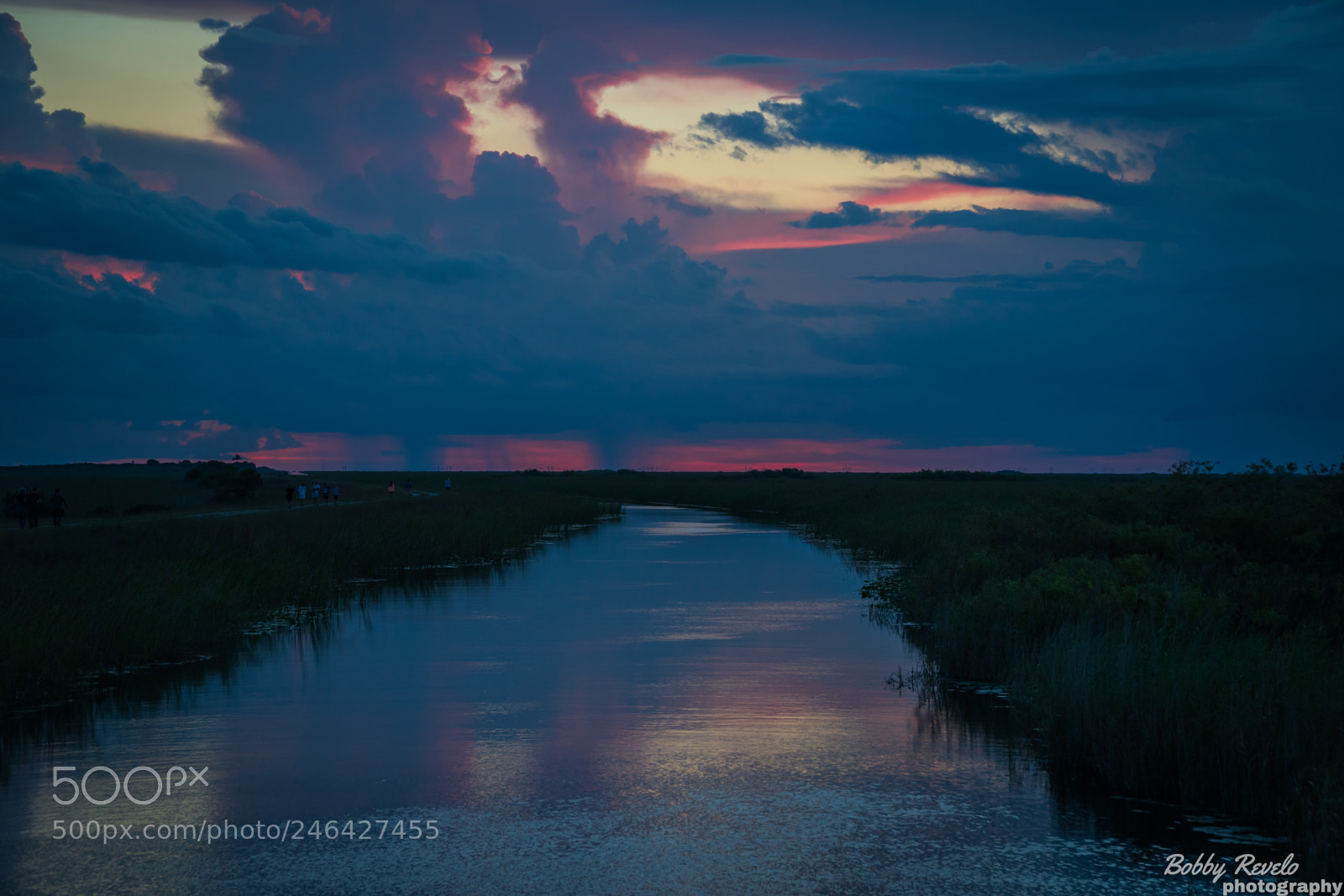 Sony a6500 sample photo. Florida everglades sunset photography