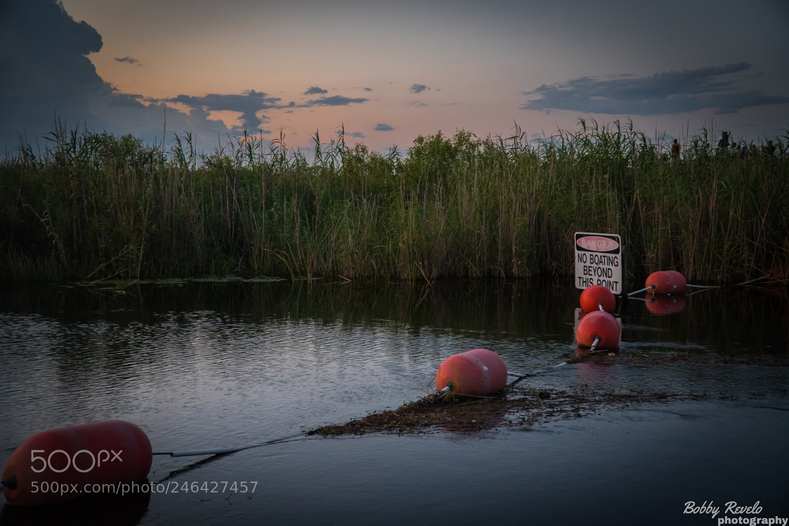 Sony a6500 sample photo. Florida everglades sunset photography