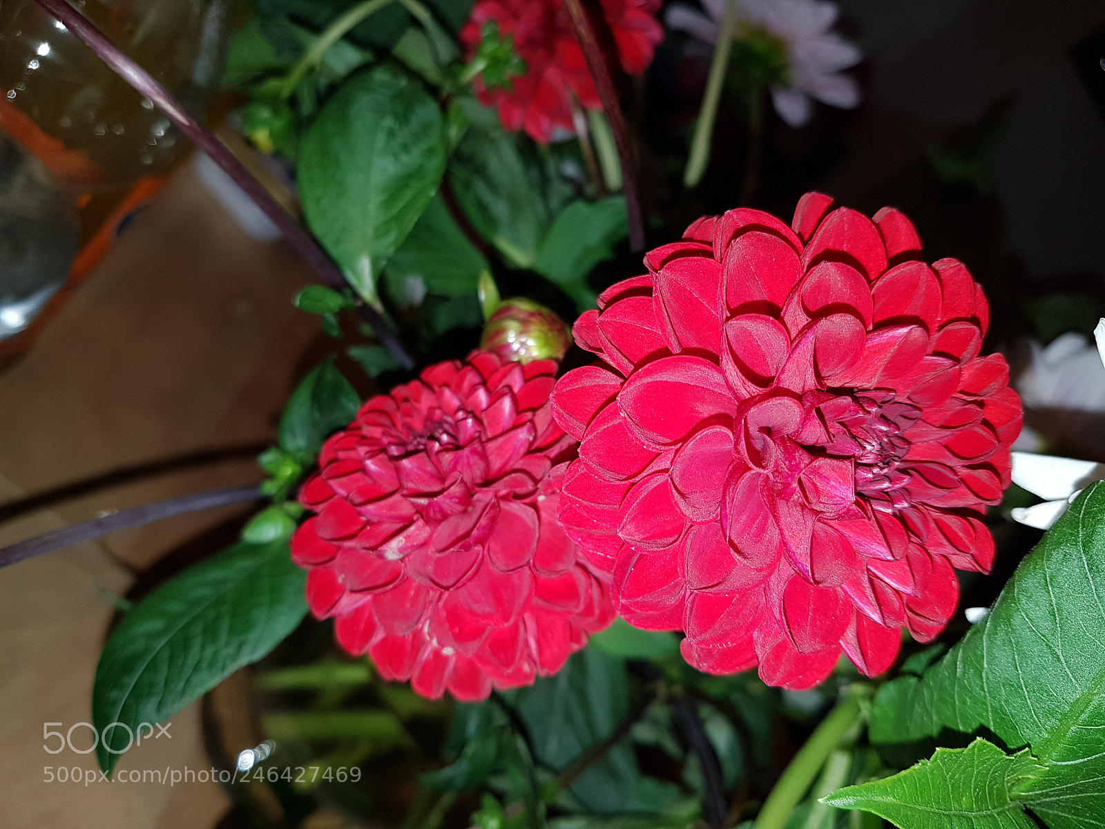 Samsung Galaxy S7 sample photo. Untitled photography
