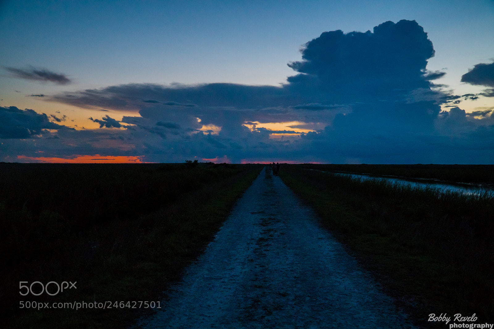 Sony a6500 sample photo. Florida everglades sunset photography