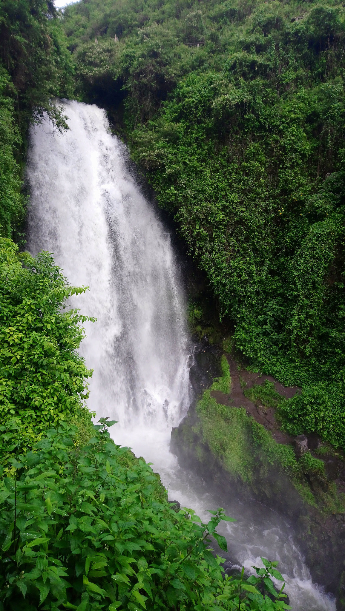 Sony Xperia XA1 Ultra sample photo. Cascada de peguche photography