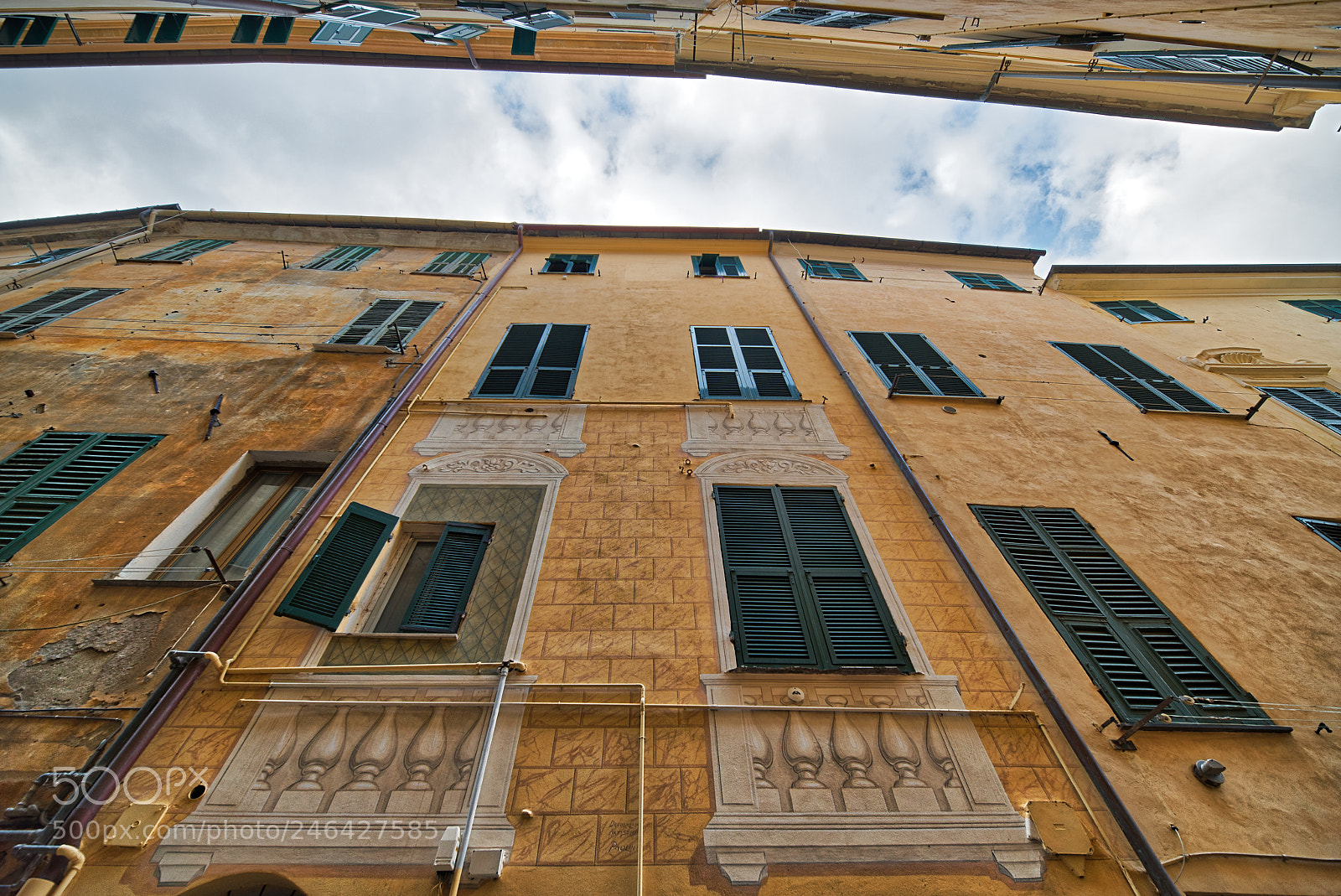 Nikon D850 sample photo. Parasio from row to photography