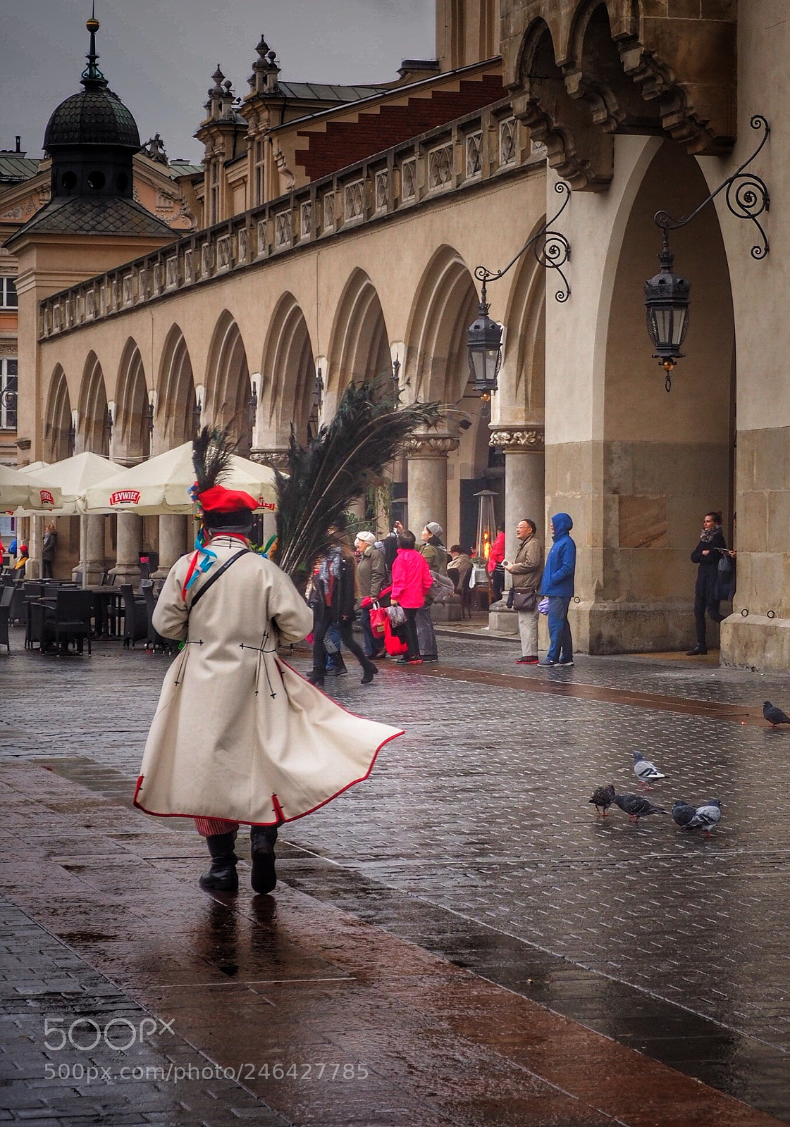 Olympus OM-D E-M10 II sample photo. Feathers photography