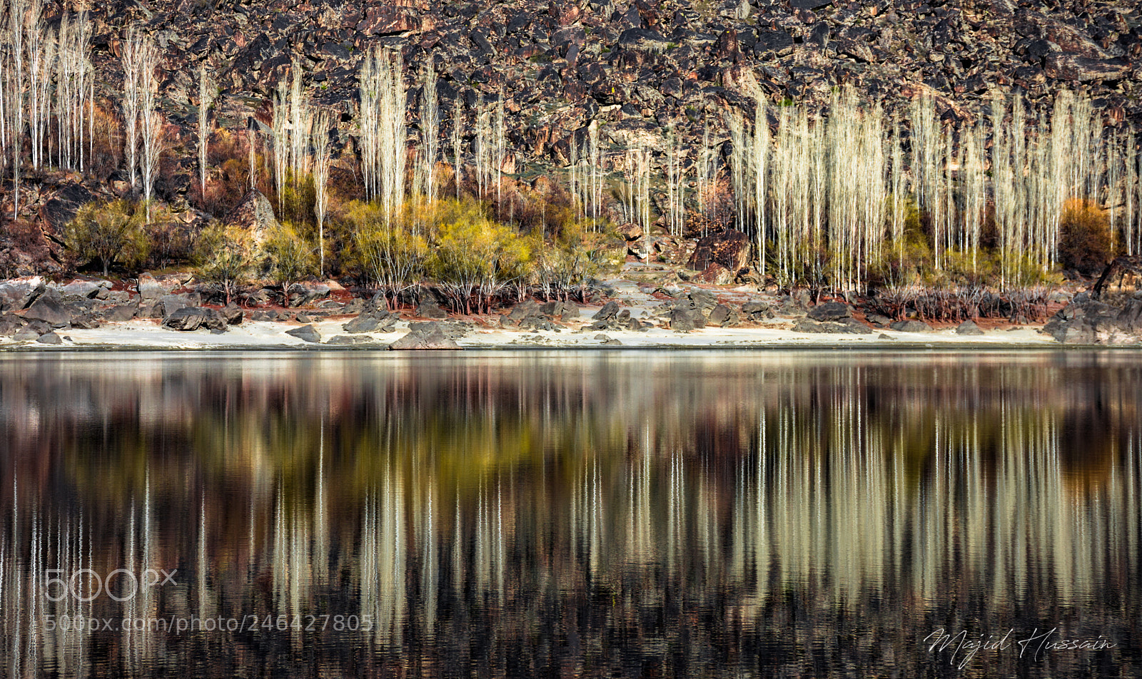 Nikon D7200 sample photo. Reflection photography
