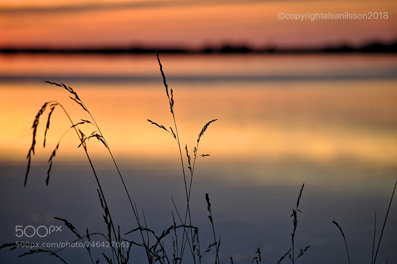 Nikon D5000 sample photo. By the sea photography