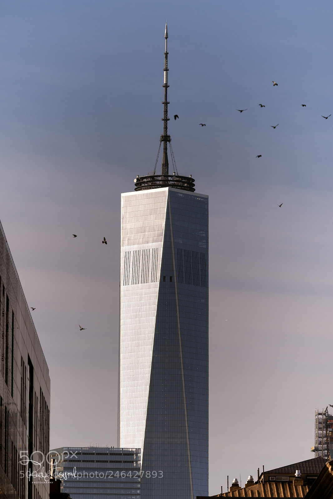 Nikon D850 sample photo. Wtc building photography
