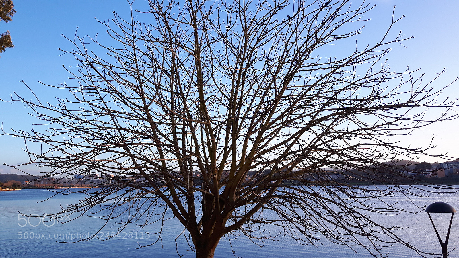 Samsung Galaxy S5 Neo sample photo. Blue winter. photography