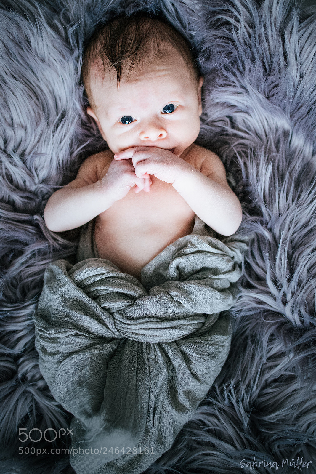 Canon EOS 6D Mark II sample photo. Noel | i photography