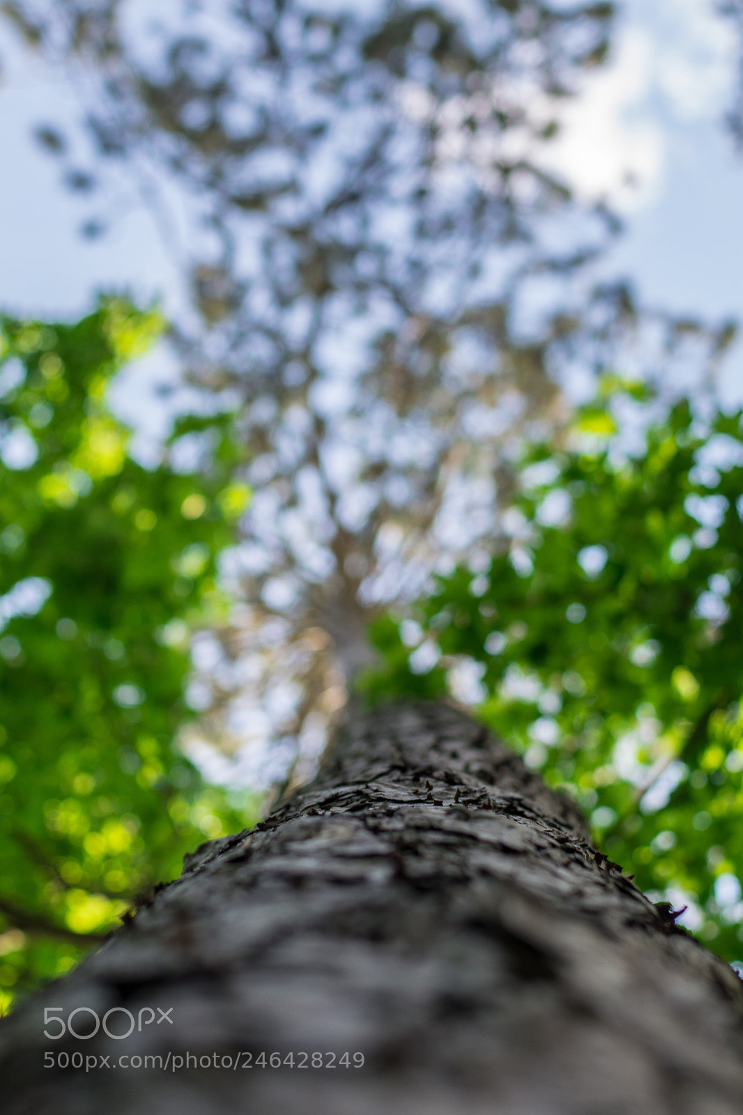 Nikon D5200 sample photo. Urcare. photography