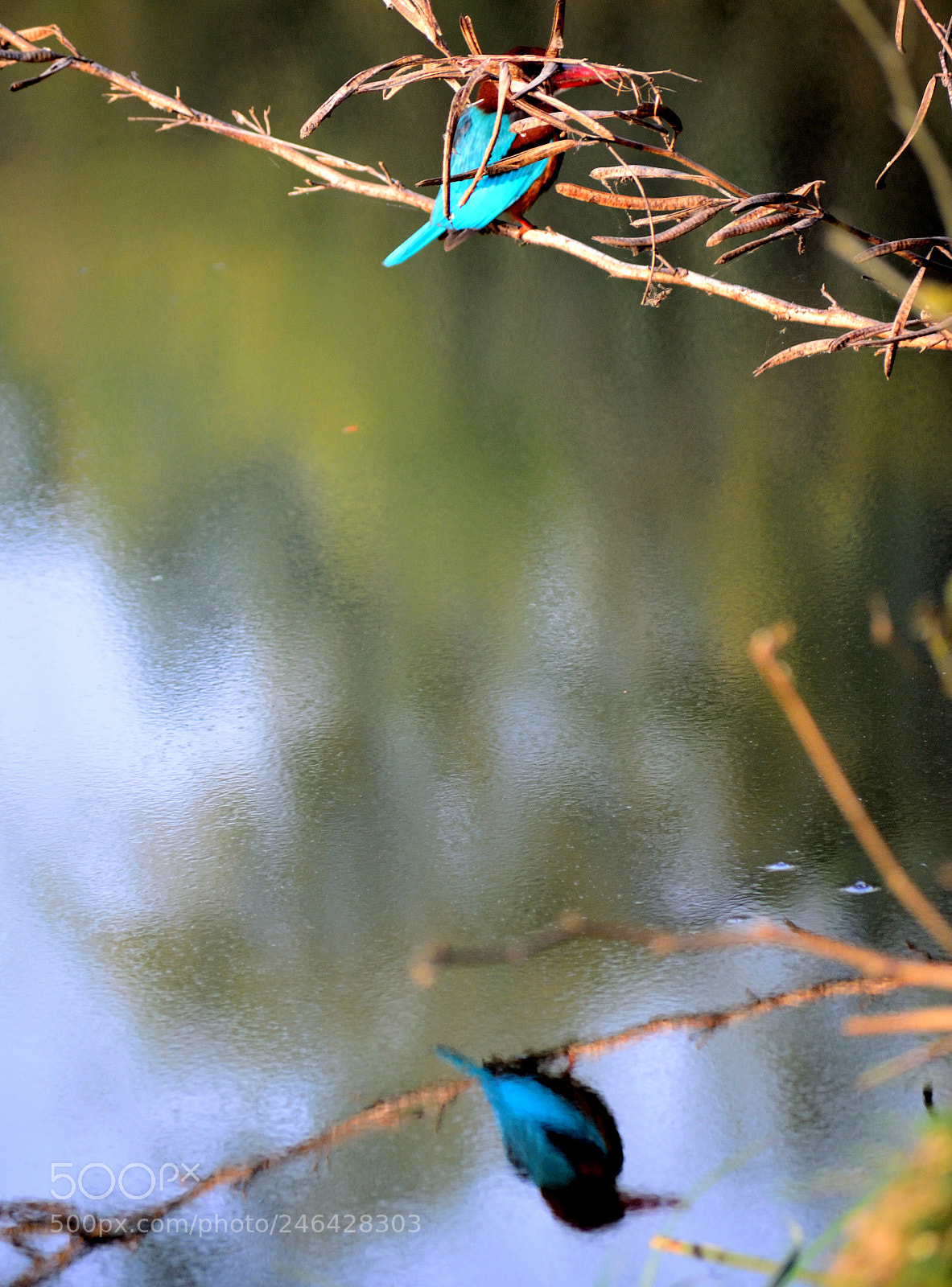 Nikon D5200 sample photo. Sometime virtual is clearer photography