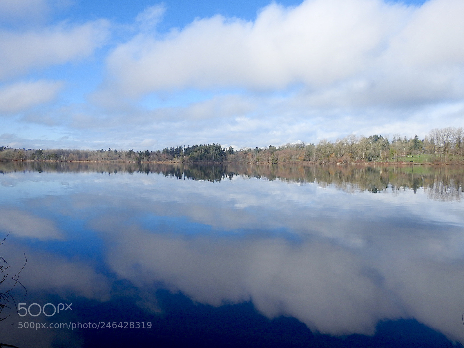Nikon Coolpix P900 sample photo. Deer lake photography