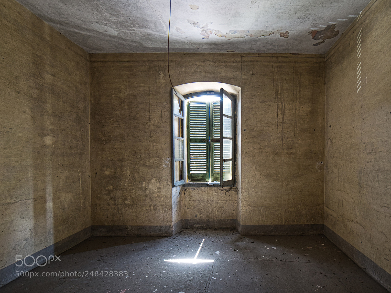 Nikon D610 sample photo. Incident light photography