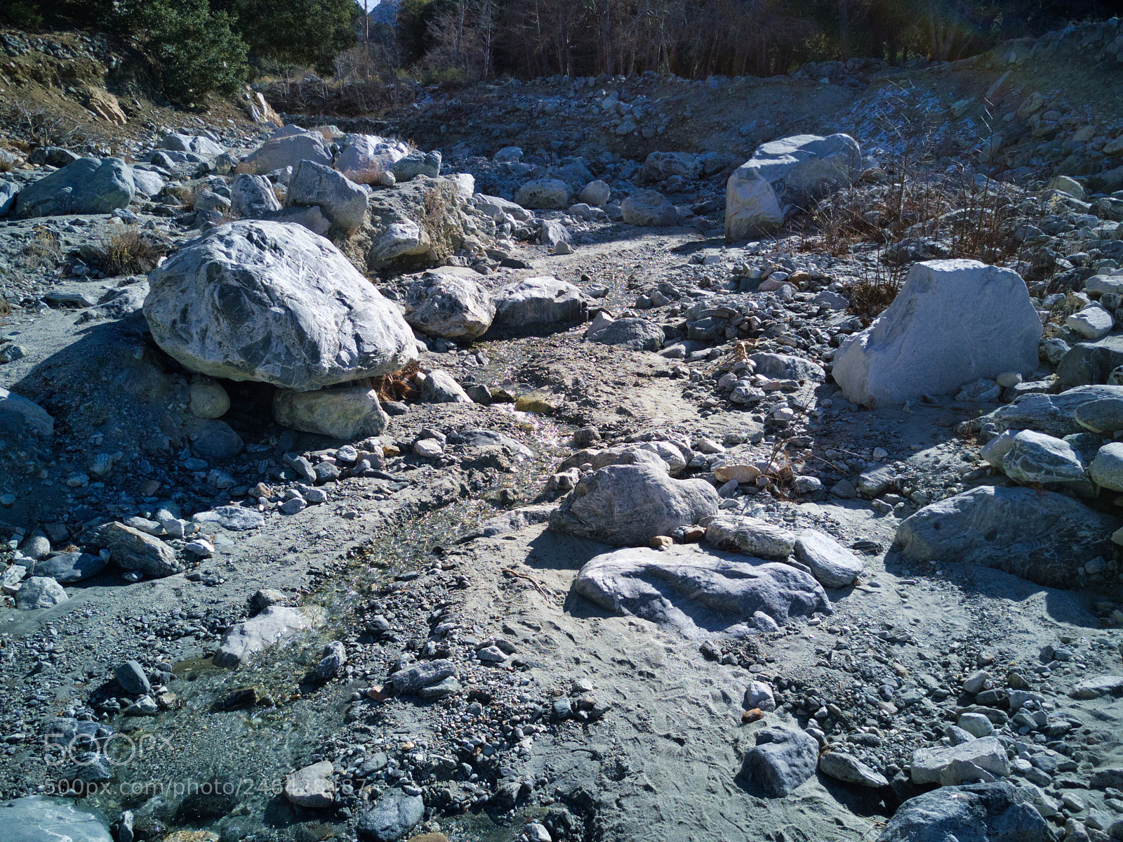 DJI FC220 sample photo. Forest falls - san photography