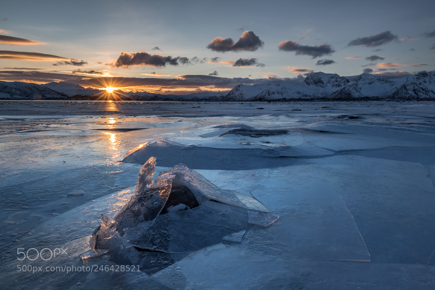 Nikon D5 sample photo. Sunset lofoten photography