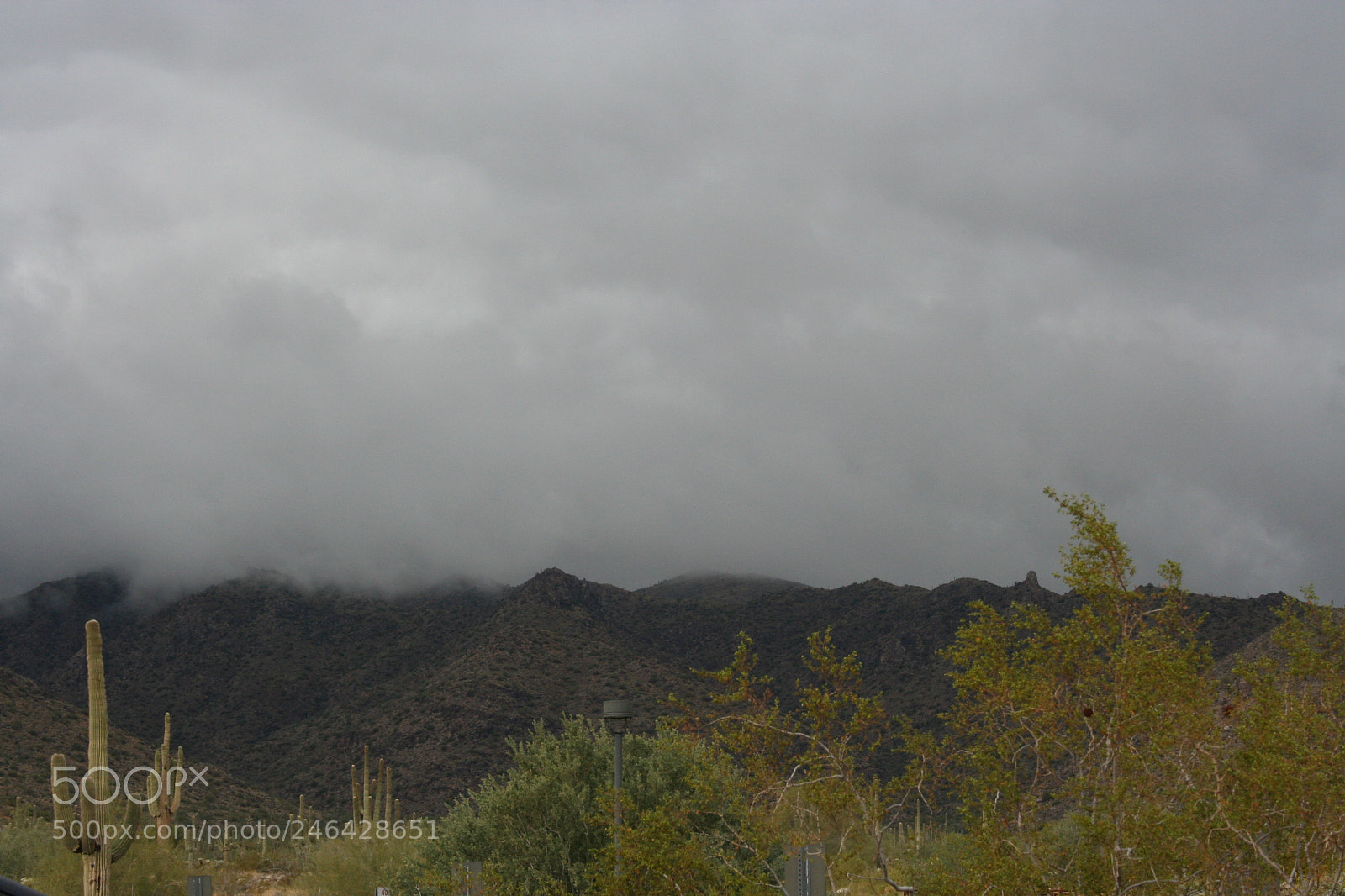 Canon EOS 350D (EOS Digital Rebel XT / EOS Kiss Digital N) sample photo. Gloomy day at white photography