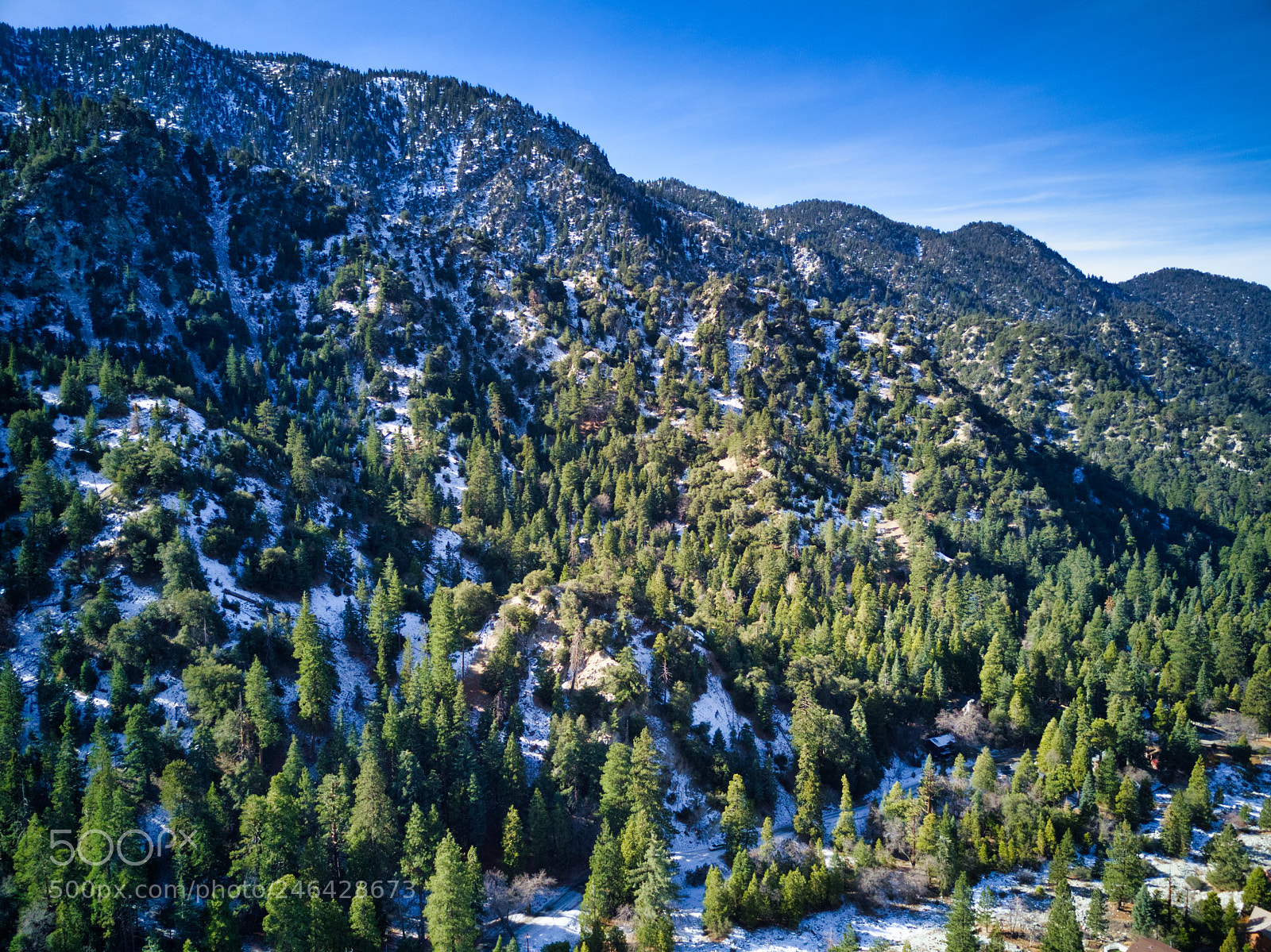 DJI FC220 sample photo. Forest falls - san photography